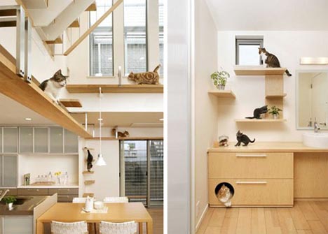 pet-friendly-amazing-home-design
