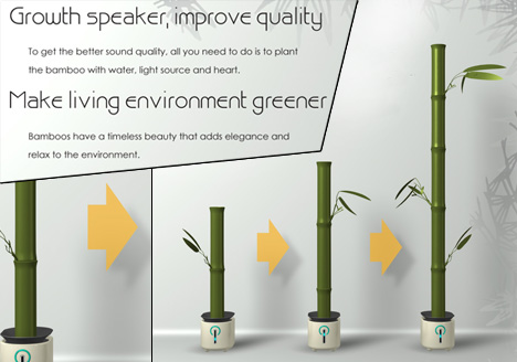 bamboo-make-your-own-speaker