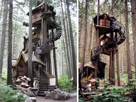 fantasy forest treehouse