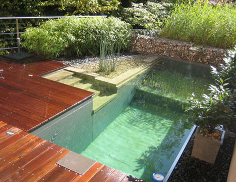 green natural pool design