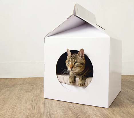 pop up cat house