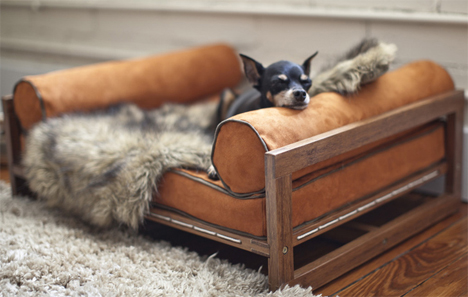 chihuahua bed architect pets