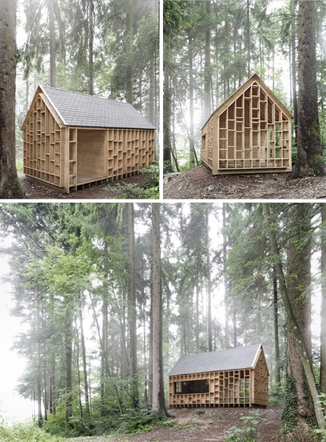 forest dwelling in context