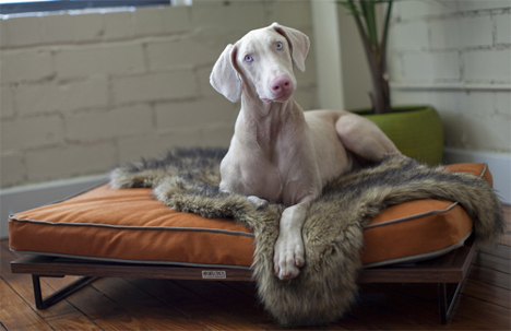 large dog bed architect pets
