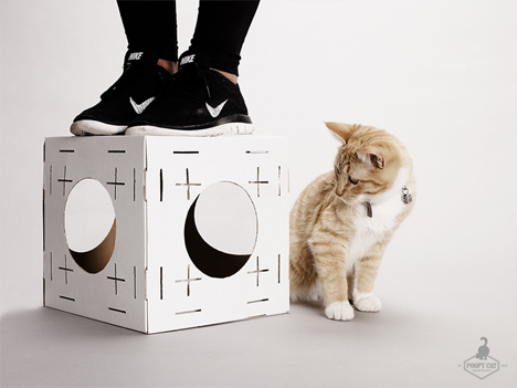 modular cardboard cat house