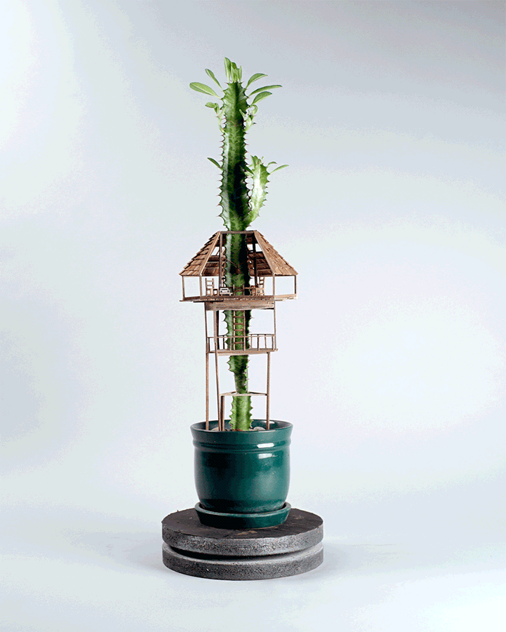 tiny treehouses 1