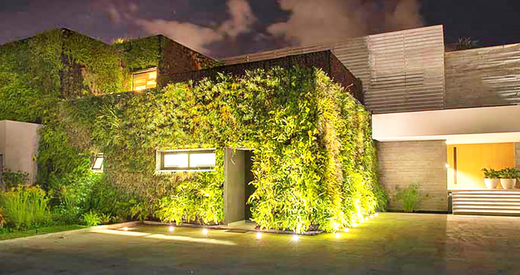 green home living walls