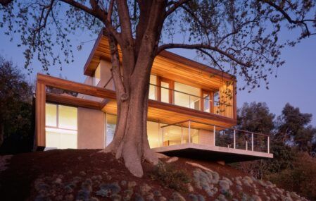 Standard LA Tree House