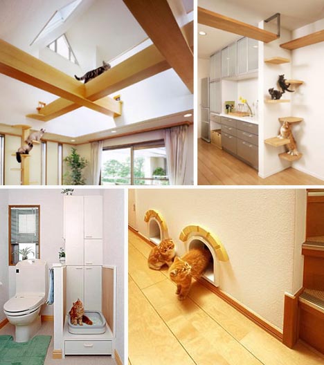 pet-cat-friendly-interior-design