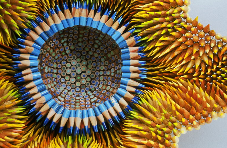 Sea creature sculptures made of colored pencils by Jennifer Maestre