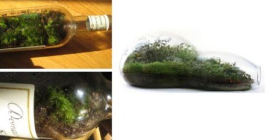 diy green recycled bottle idea