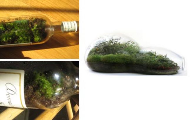 diy green recycled bottle idea