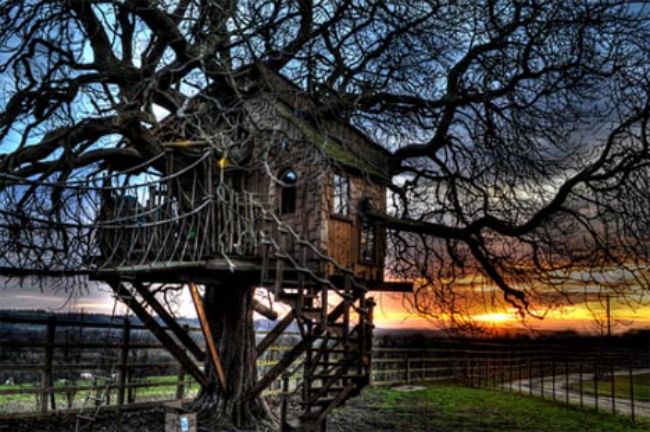 tree-house-haunted-image