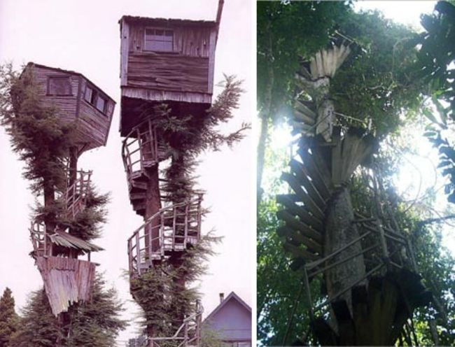 tree-house-historical1