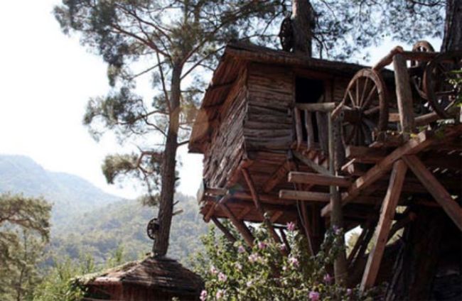 tree-house-rustic-cabin1