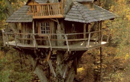 tree-house-wood-classic1