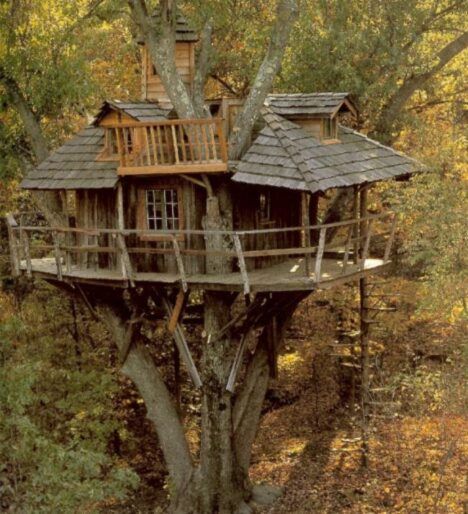 tree-house-wood-classic1