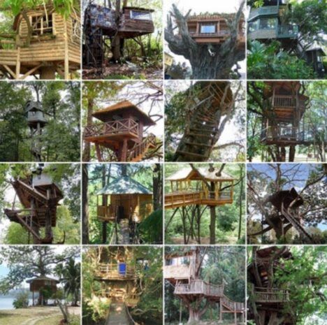 Tree house designs