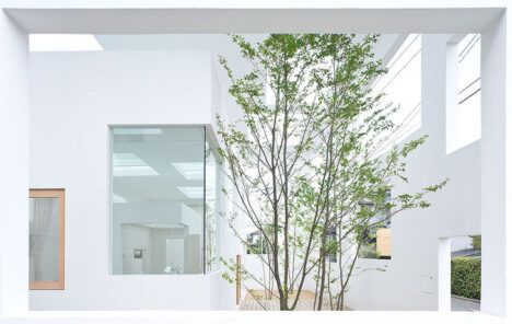 House N by Sou Fujimoto indoor tree
