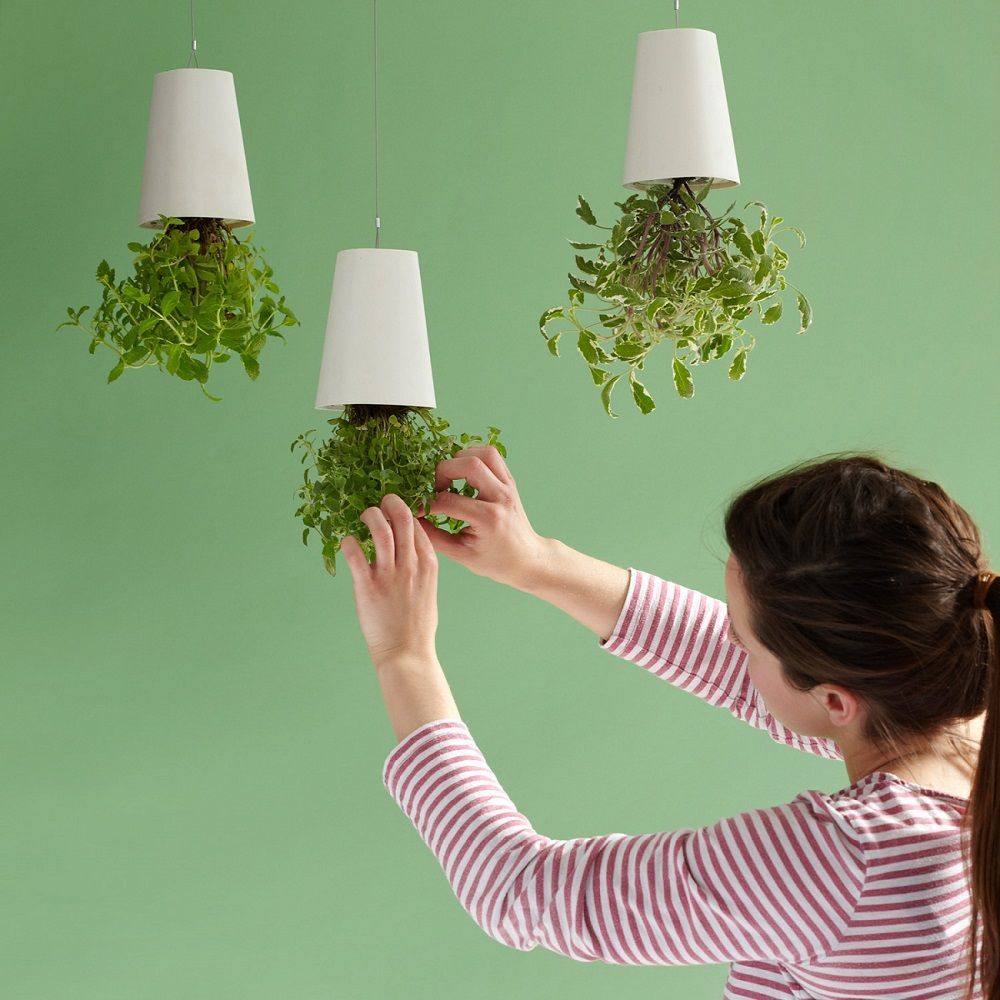 upside-down sky planter herbs
