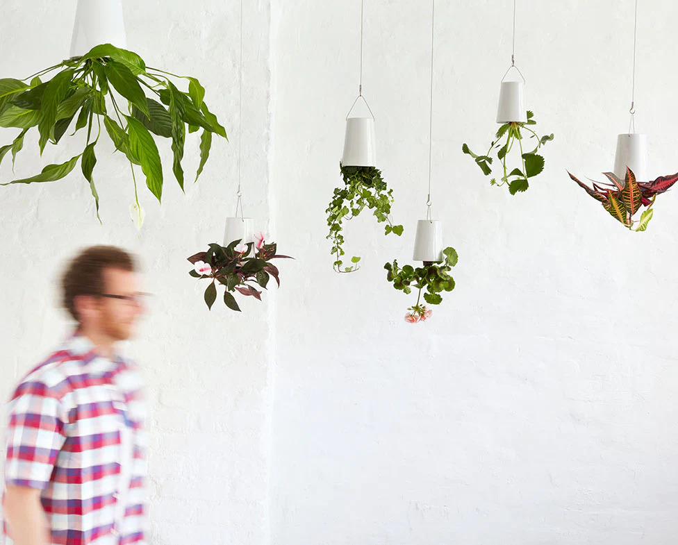 upside-down-sky-planter-in-a-room