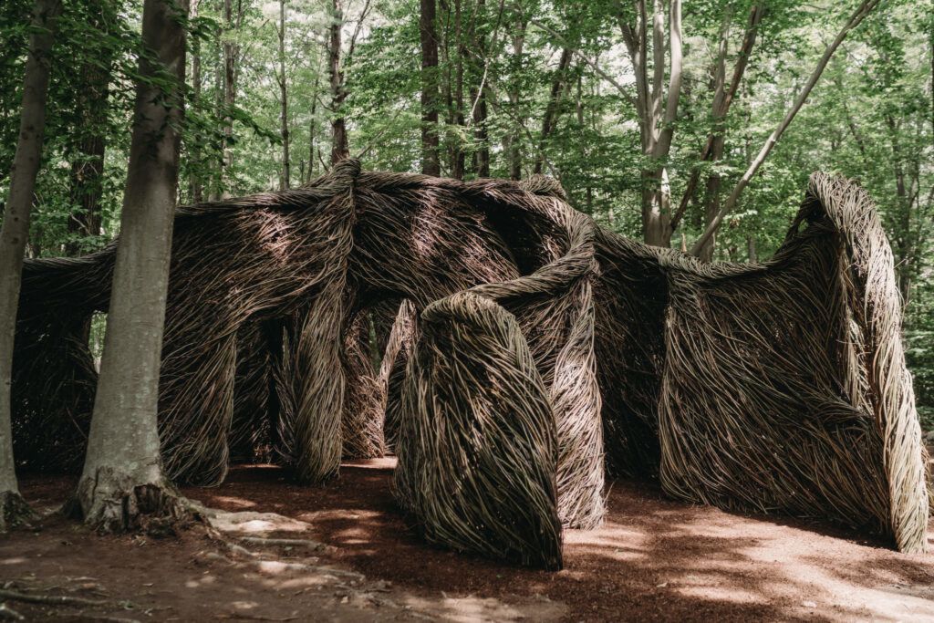Natural buildings by Patrick Dougherty in forest