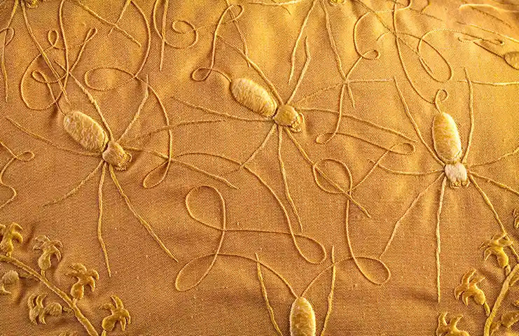 golden-cape-spider-silk-detail