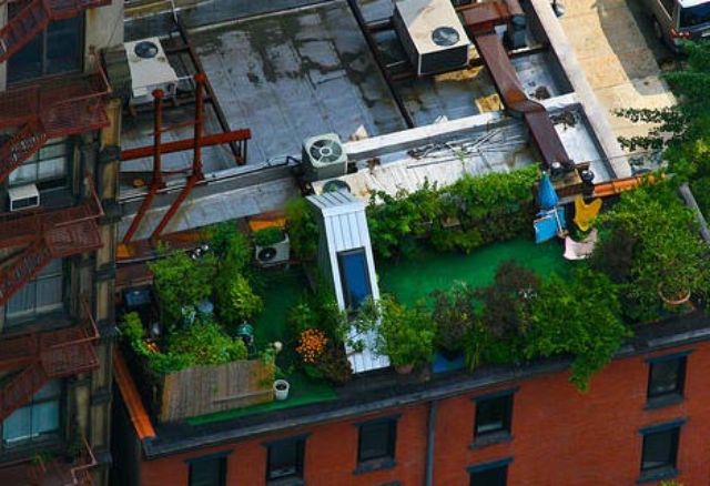 green rooftop deck residence