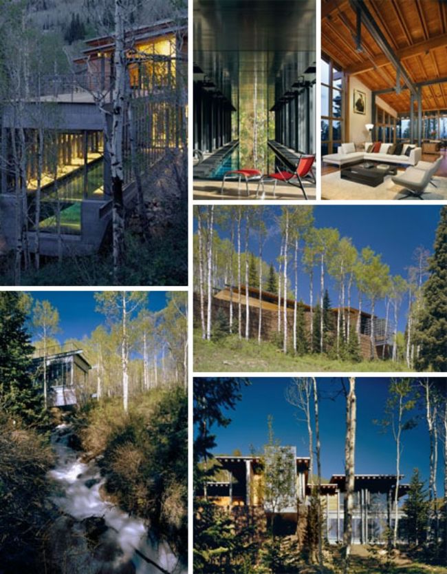 rustic luxury forest retreat