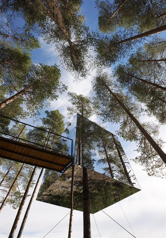 Mirrored tree house from below