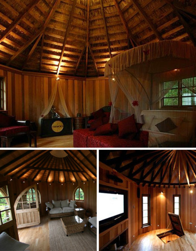 Tree house interiors