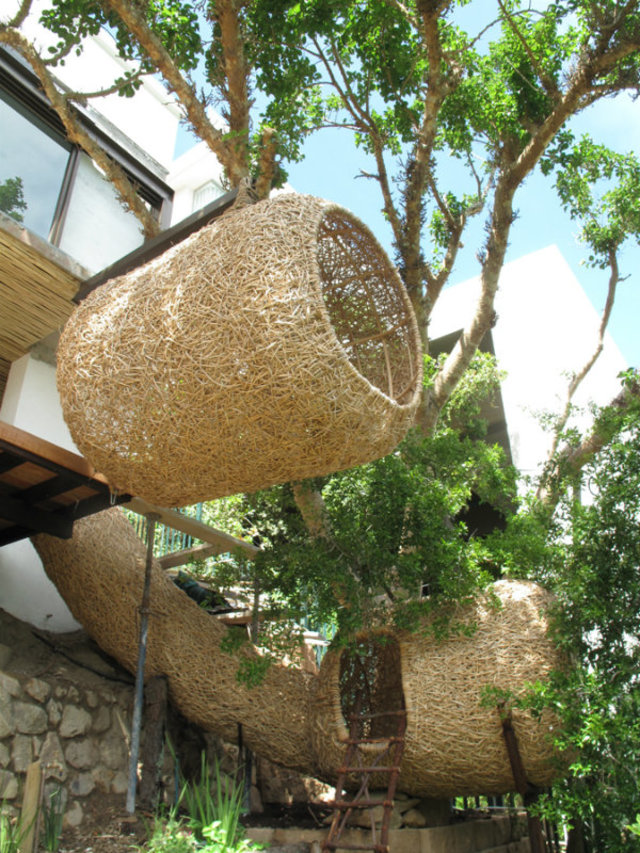 Kubu nests