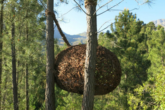 Tulbaugh Nest