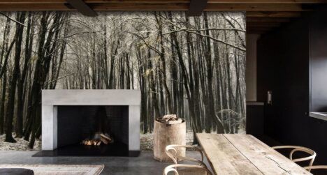 wallpaper forest scene