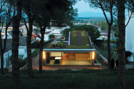 Villa Bio green roof