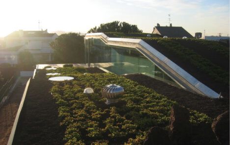 Villa Bio green rooftop