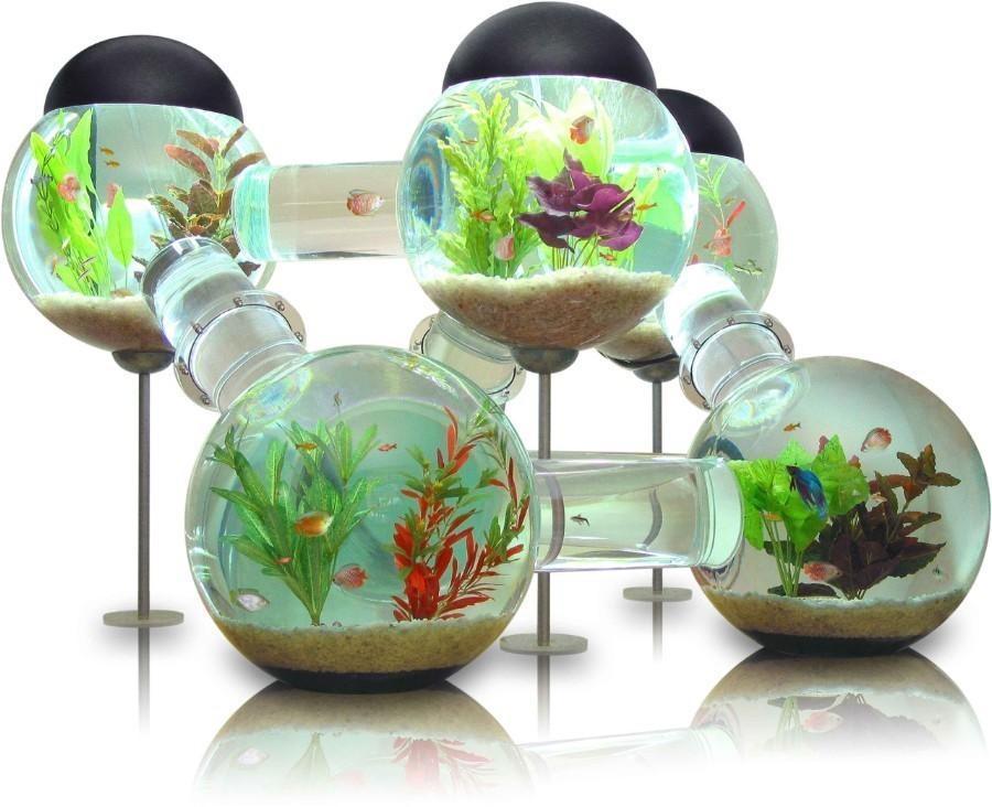 quirky aquarium globe design