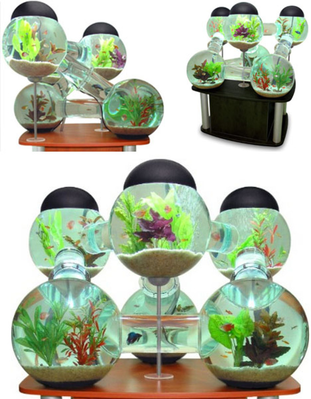 5 Cool Modern Fish Tank Designs | Designs & Ideas on Dornob
