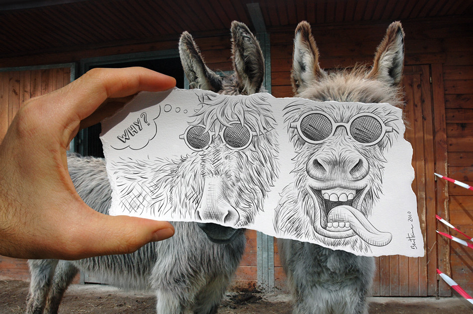 Ben Heine Pencil vs Camera Laughing Donkeys
