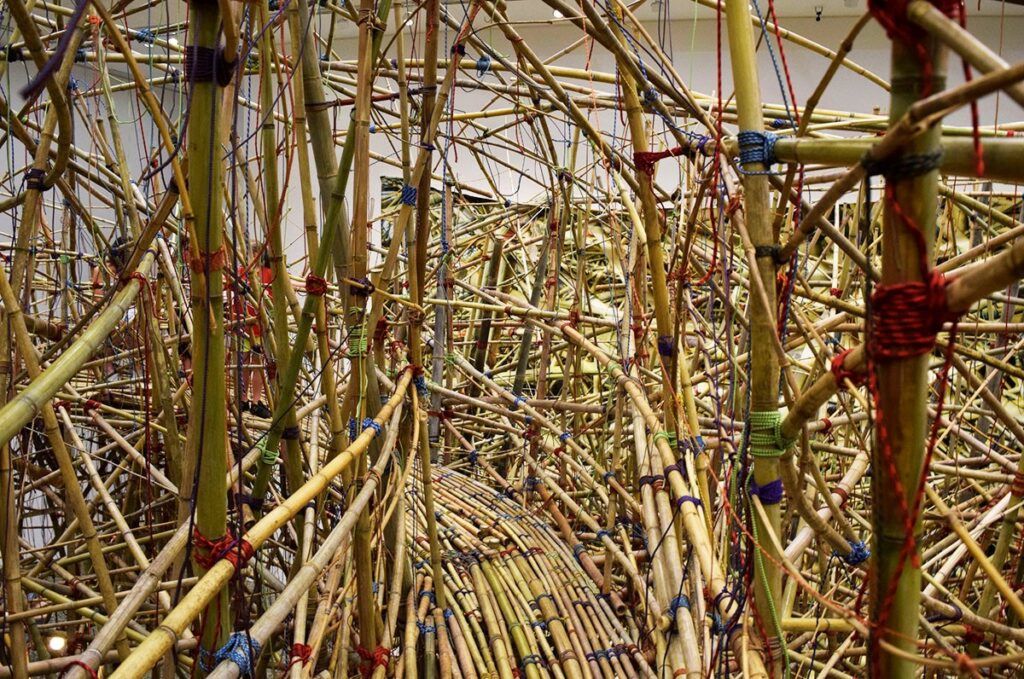 Big Bambu bamboo nest paths