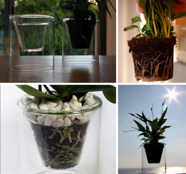 see through glass flower pot