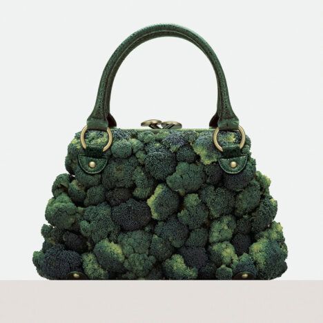 bonavia broccoli purse