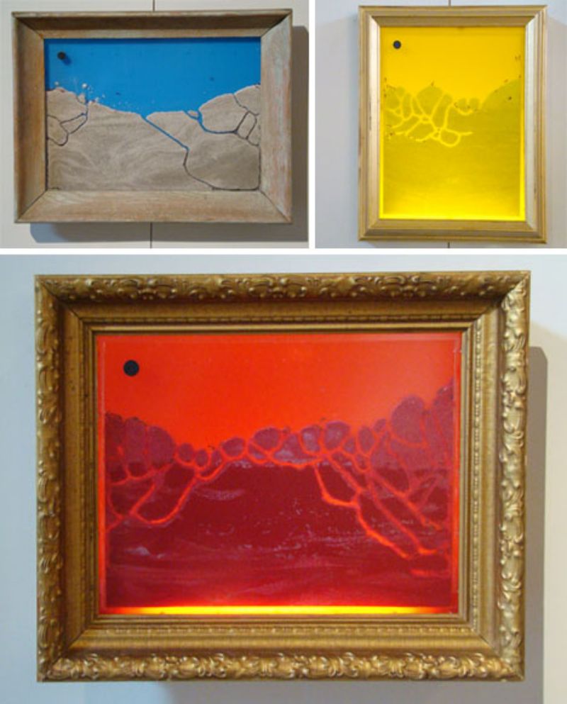 Ant farms as framed wall art colors