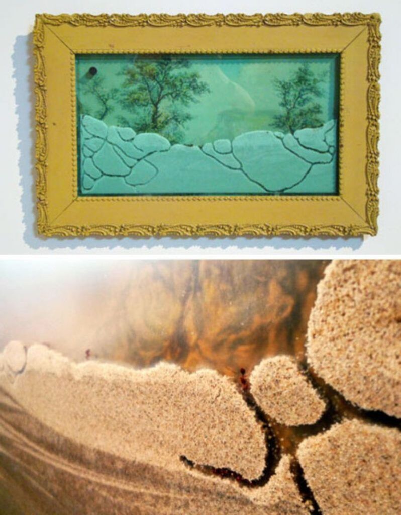 Ant farms as framed wall art detail