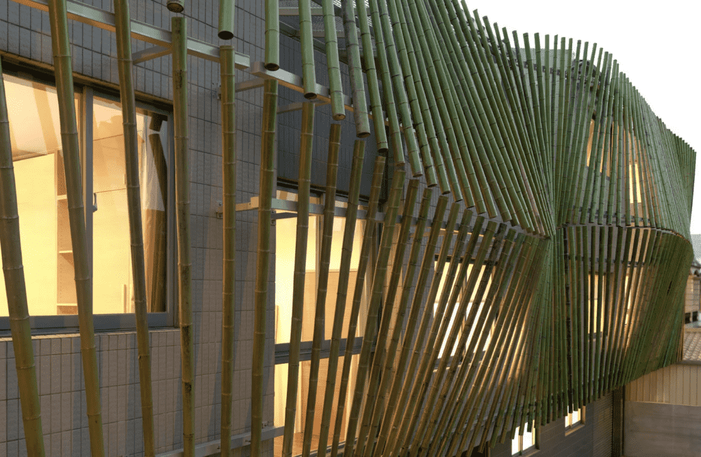 bamboo-forest-house