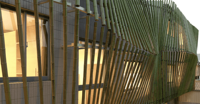bamboo-forest-house