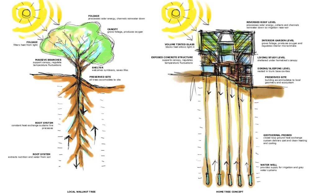 Conservatory House geothermal tree-inspired concept