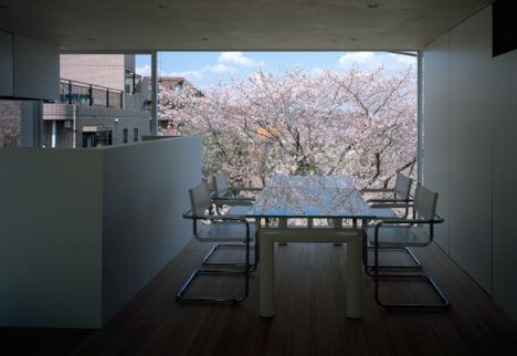 ALX Cherry Blossom House dining room
