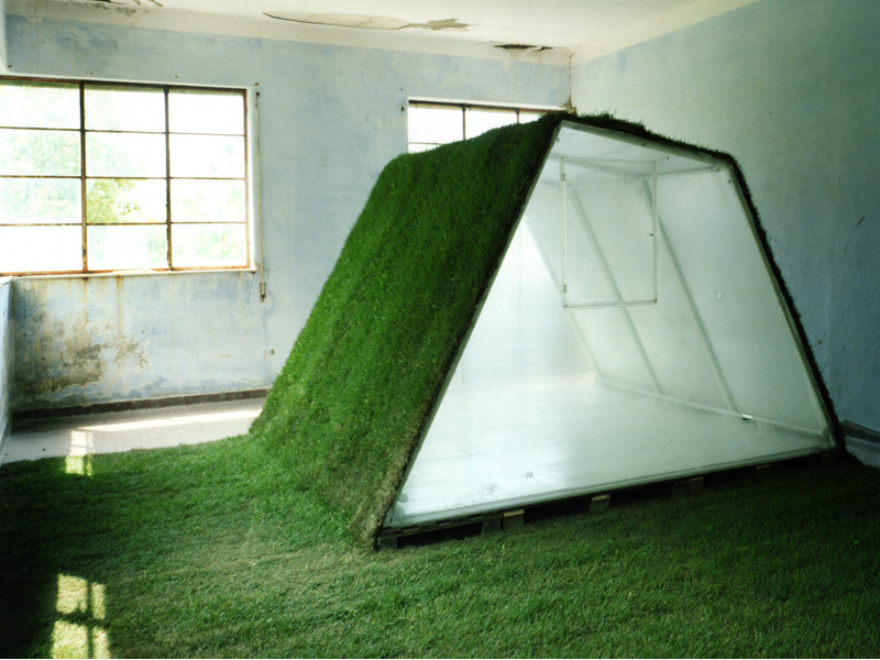 Grass roofed shed design