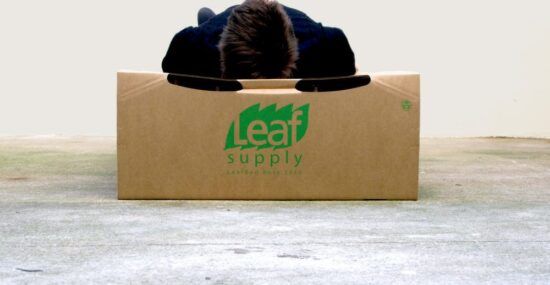 Leaf Bed laying on top